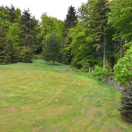 Modern In Tabarz/thuringer Wald With Garden アパート ブロターオーデ